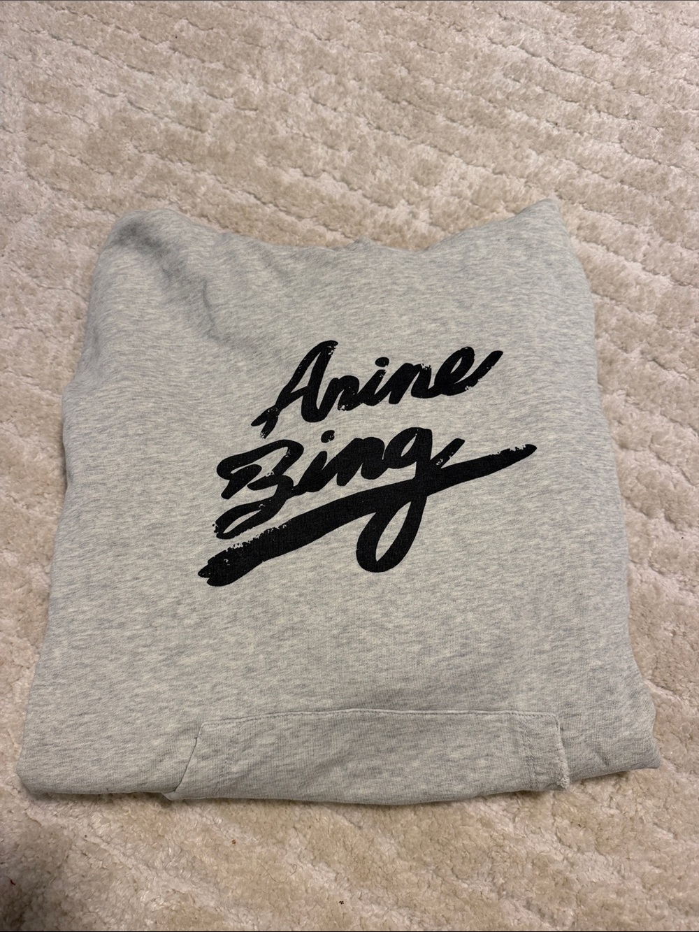 Anine Bing Harvey hoodie